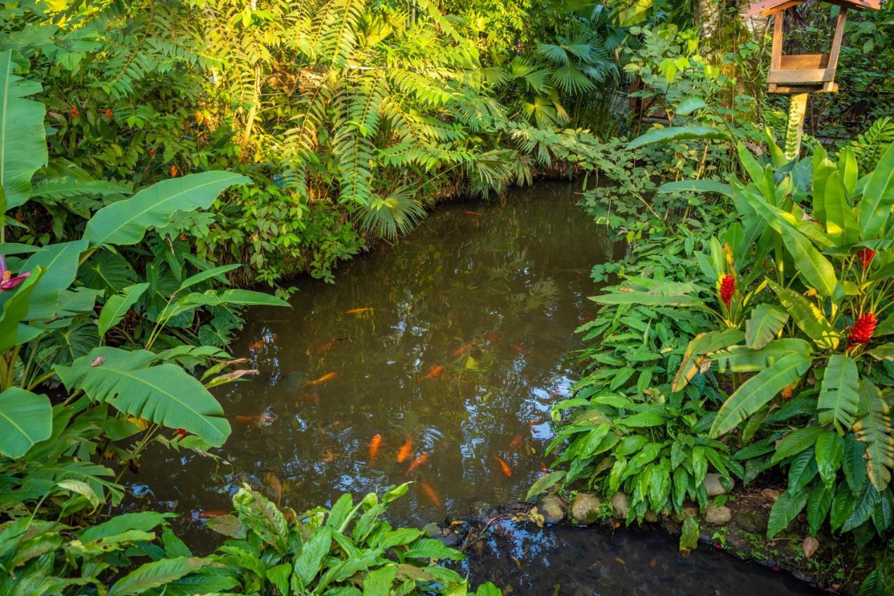 Puerto Misahuallí El Jardin Lodge & Spa מראה חיצוני תמונה
